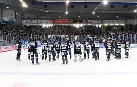 Spieler der Straubing Tigers auf der Eisfläche