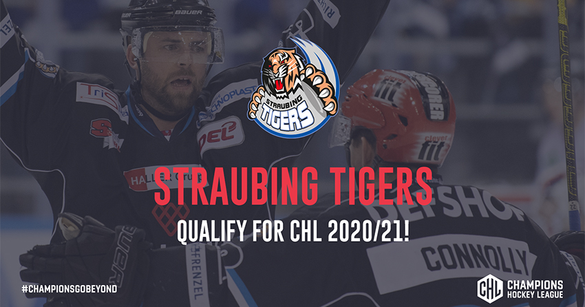 Straubing Tigers qualify for chl 2020/2021