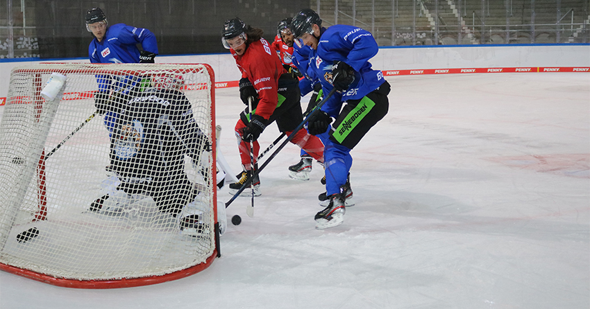 Spieler der Tigers beim Spiel