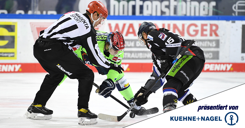Spieler der Tigers beim Spiel gegen Ingolstadt