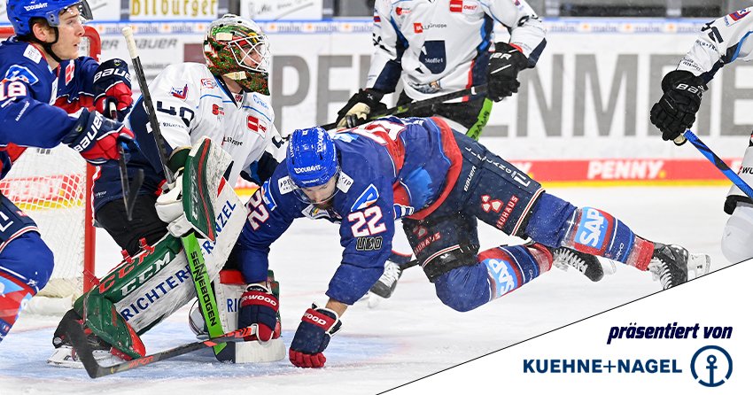 Spieler der Tigers beim Spiel