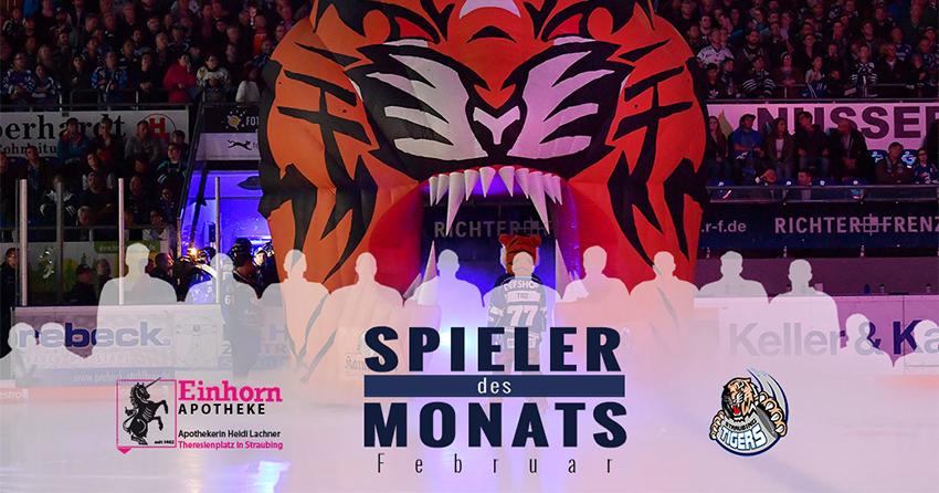 Spieler des Monats - Februar