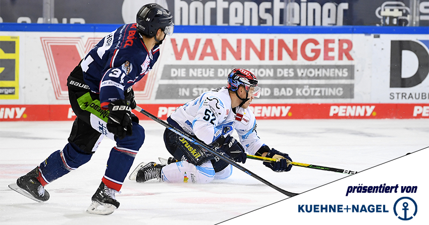 Spieler der Tigers beim Spiel gegen Ingolstadt