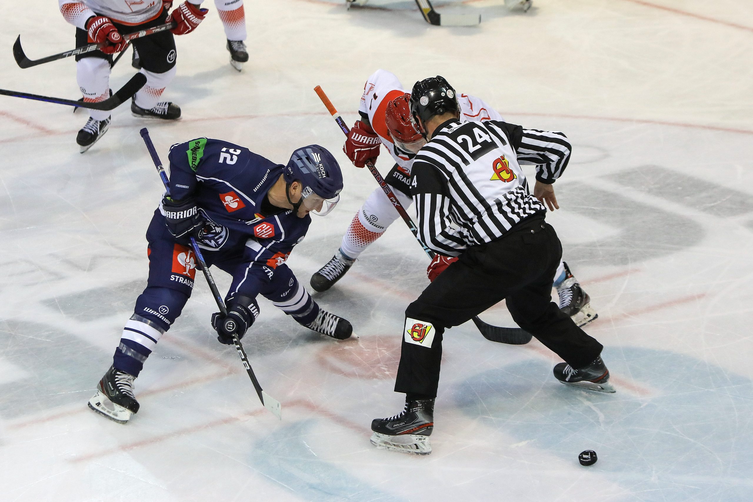 Erfolgreiche Champions Hockey League-Premiere Straubing Tigers gewinnen in Krakau