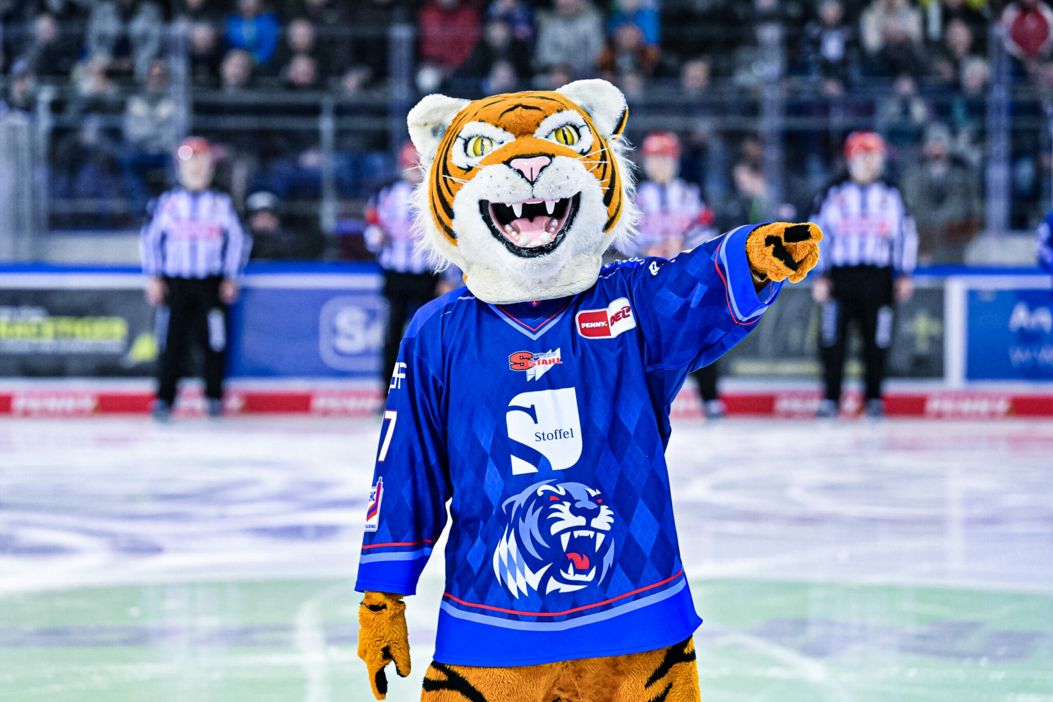 Tigers-Special für Nachwuchsmannschaften und Vereinsgruppen - Straubing 