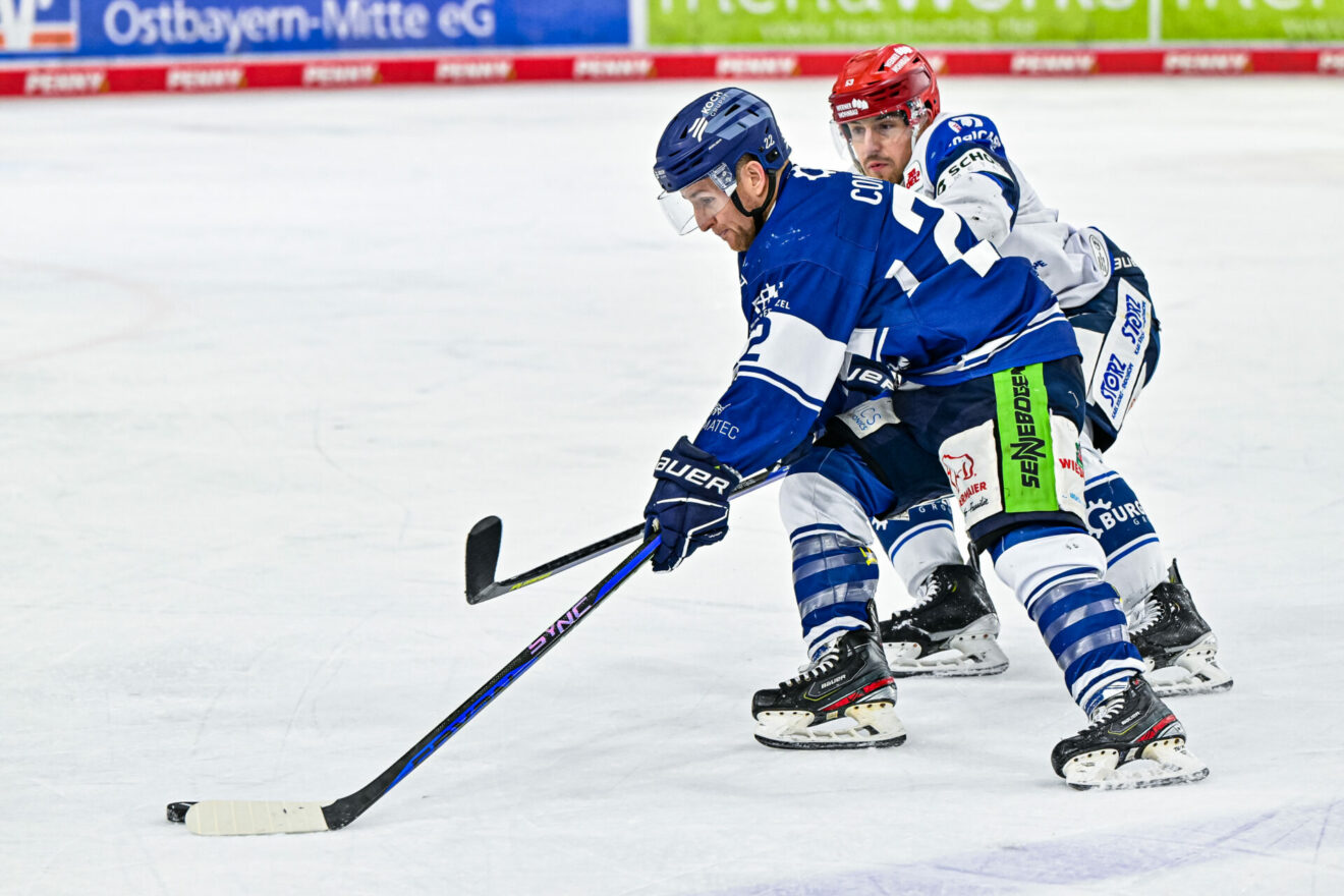 News Straubing Tigers
